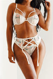 Sweet & Seductive Mesh Embroidery 3pc Lingerie Set